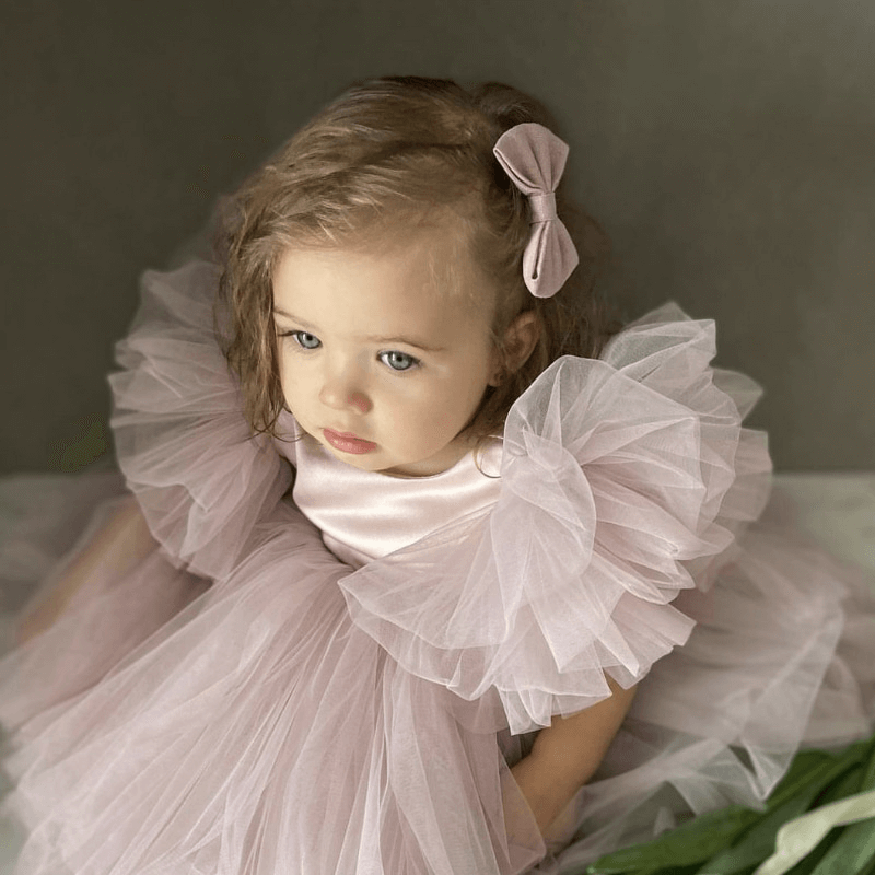 Tutu Tulle Fluffy Sleeve Dress 