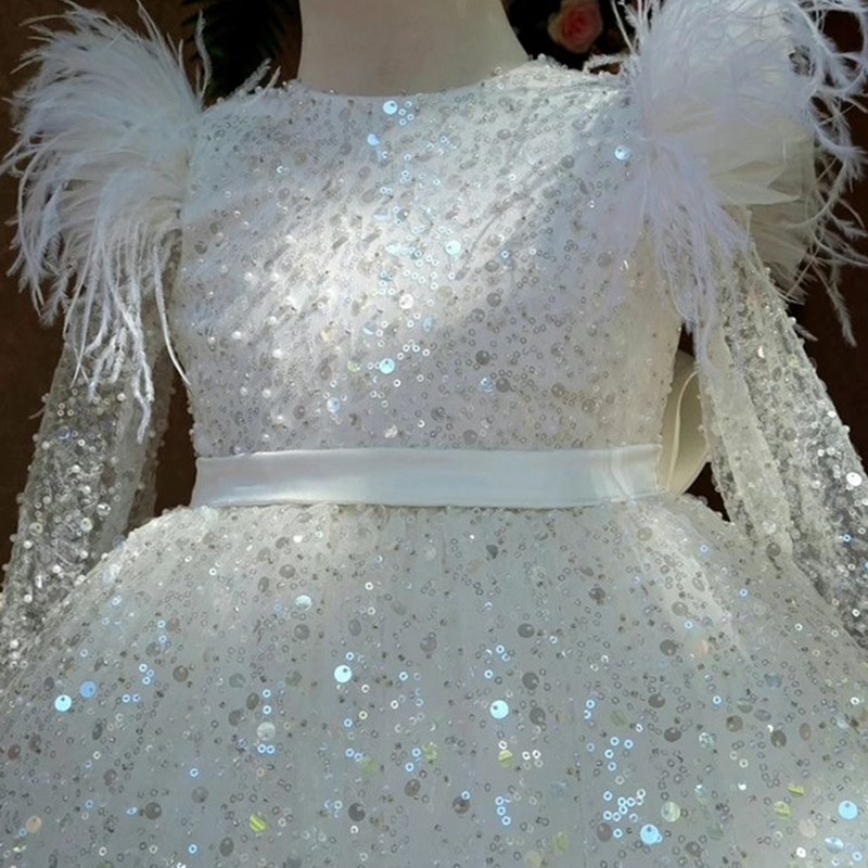 Feather Sleeve Sequins Dress