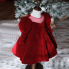 Christmas Backless Shimmering Velvet Dress