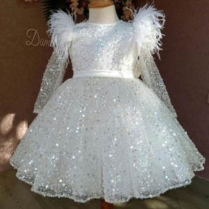 Feather Sleeve Sequins Dress