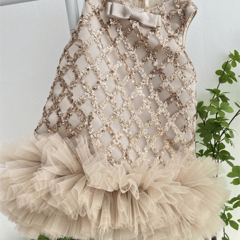 Sequins Tulle Sleeveless Dress