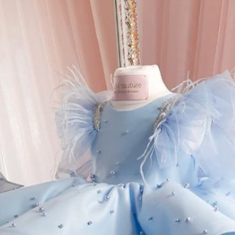 Feather Sleeve Pearl Crystal Tutu Blue Girl Dress