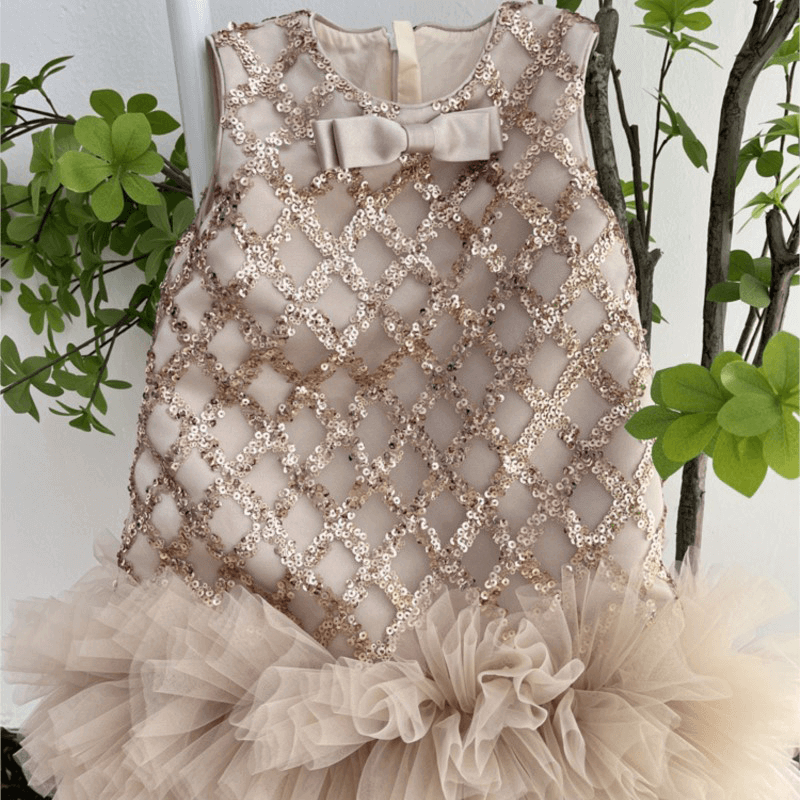 Sequins Tulle Sleeveless Dress