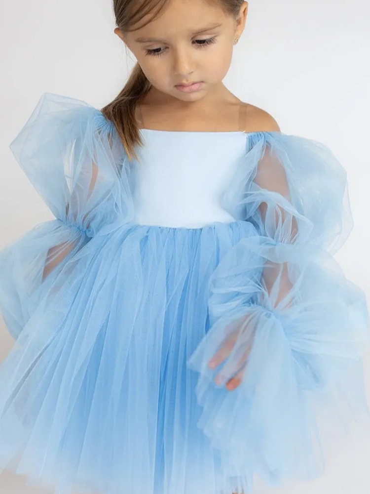 Off Shoulder Puff SleeveTutu Girl Dress