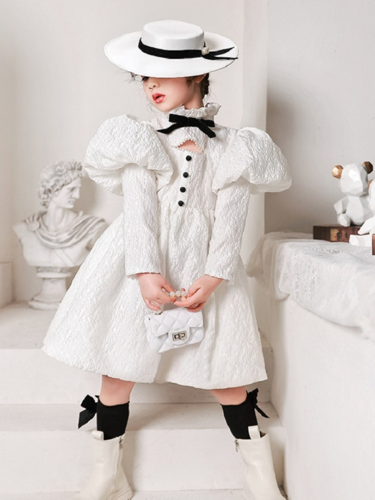 Long Puff Sleeve Vintage Dress