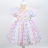 Gradient 3D Butterfly Tulle Dress